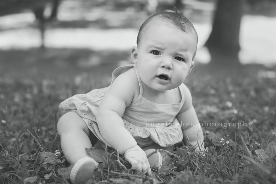 charlotte baby photographer2